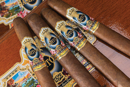 Collection image for: Ashton