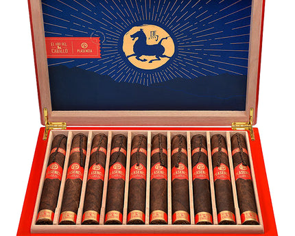 Plasencia Year Of The Horse