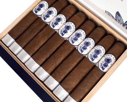 Maria Lucia Magnum Box Pressed by Luciano Cigars